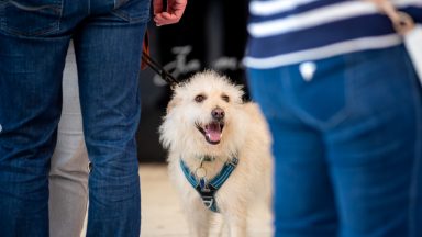 spica-FOTO-Linda-Vidovic-10-10-45