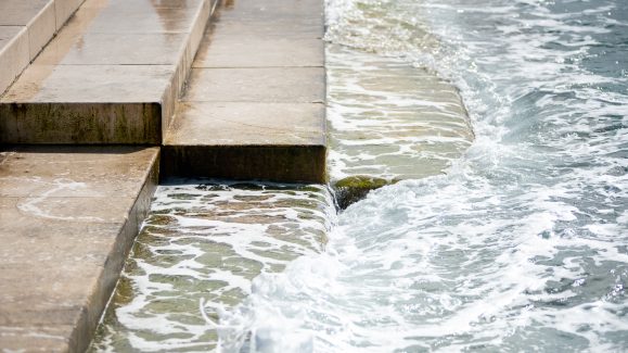 spica-FOTO-Linda-Vidovic-10-10-60