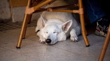 spica-FOTO-Linda-Vidovic-10-10-63