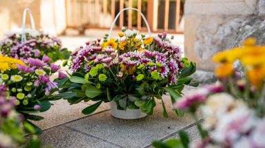 svi-sveti-FOTO-Linda-Vidovic-26-10-10