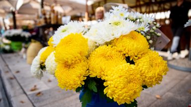 svi-sveti-FOTO-Linda-Vidovic-26-10-22