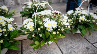 svi-sveti-FOTO-Linda-Vidovic-26-10-4