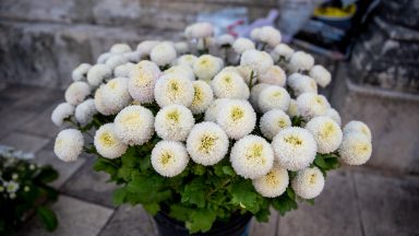 svi-sveti-FOTO-Linda-Vidovic-26-10-5