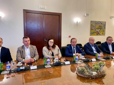 zd županija poljska 3