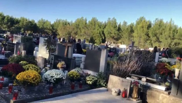 462538199_976133707607839_5397805747197869352_n