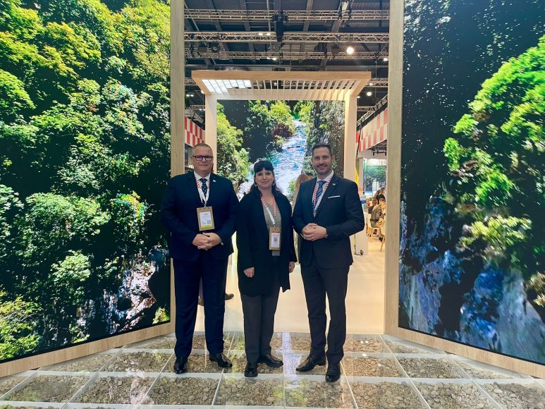 WTM_Stanicic_Fabrio_Glavina