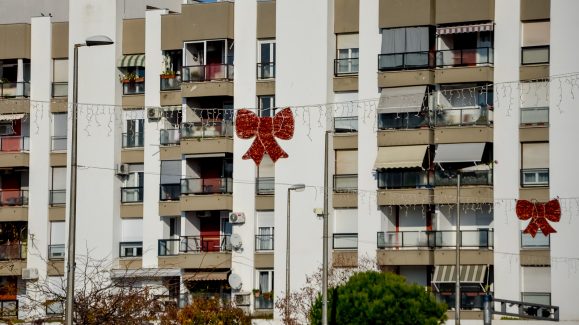 boozicni-ukrasi-FOTO-Linda-Vidovic-15