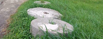 brbinj uljara 5.jpg 5