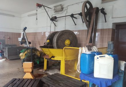 brbinj uljara 6.jpg 6