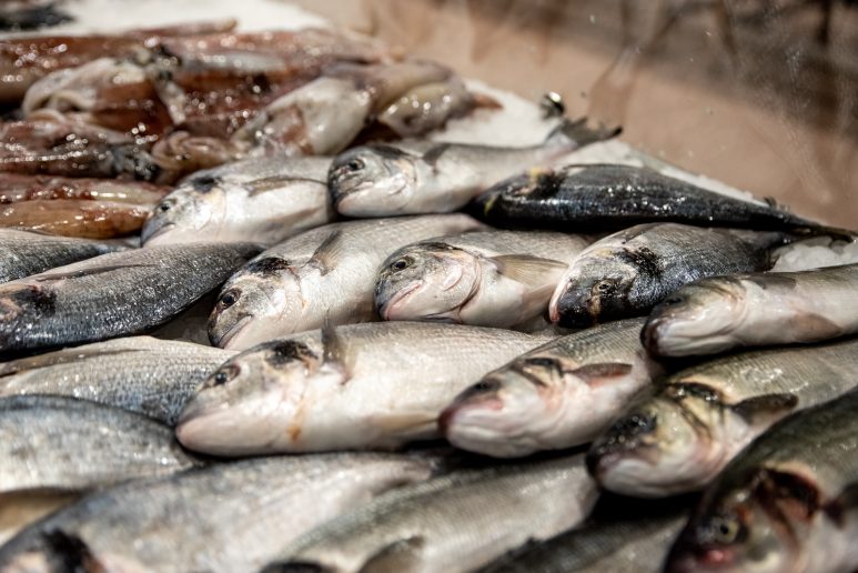 ribarnica-FOTO-Linda-Vidovic-29-11-6