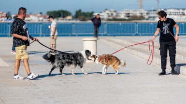 spica-FOTO-Linda-Vidovic-5-11-2024-20