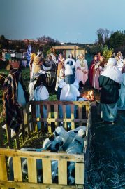 Diklo Jaslice 2024 (3)