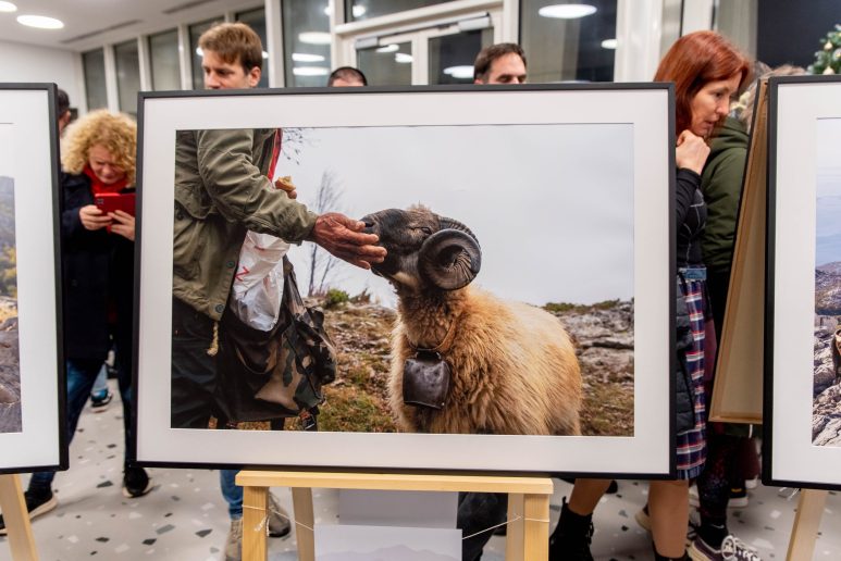 blago-planine-FOTO-Linda-Vidovic-16-12-2024-29