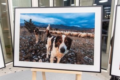 blago-planine-FOTO-Linda-Vidovic-16-12-2024-31