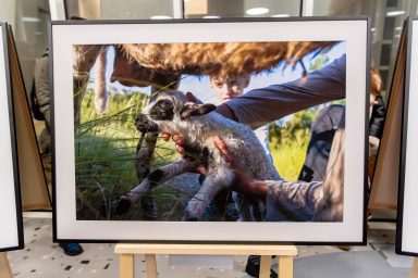 blago-planine-FOTO-Linda-Vidovic-16-12-2024-34