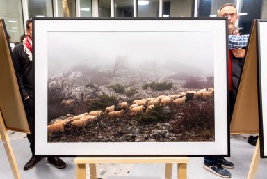 blago-planine-FOTO-Linda-Vidovic-16-12-2024-36