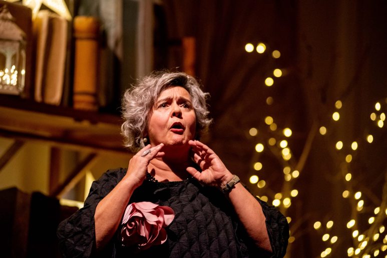 ferali-u-noci-FOTO-Linda-Vidovic-13-12-2024-21