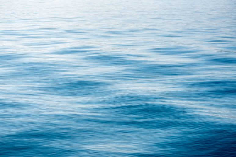 spica-FOTO-Linda-Vidovic-17-12-2024-32