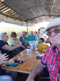 kuhano vino nenad marčina 3