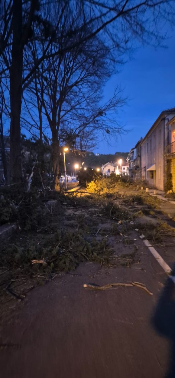 pijavica-antenazadar-02