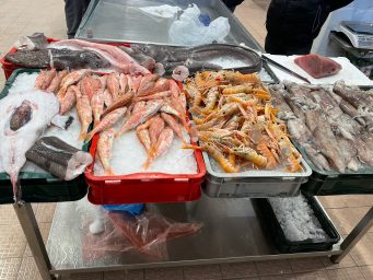 ribarnica-hvidakovic-03