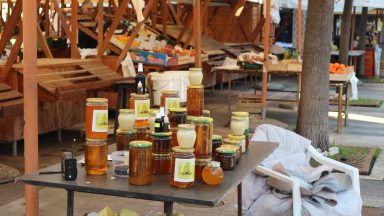 tržnica ribarnica zadar 11