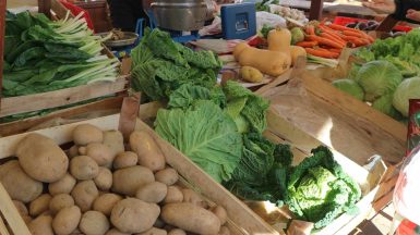 tržnica ribarnica zadar 12