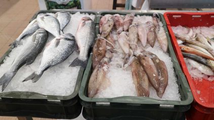 tržnica ribarnica zadar 7