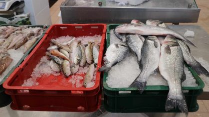 tržnica ribarnica zadar 8