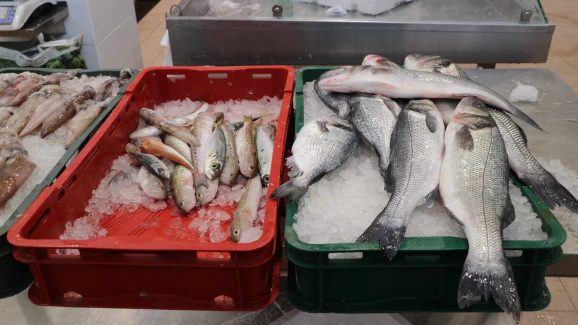 tržnica ribarnica zadar 8