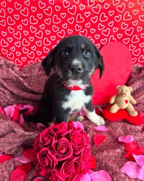 D5CA0410-13F6-423C-B73F-ABA763B1EE5D