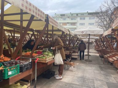 gradska-pijaca-hvidakovic-03