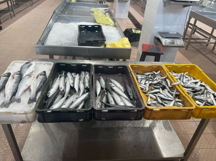 ribarnica-hvidakovic-02