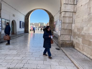 špica-hvidakovic-03