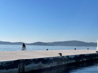 špica-hvidakovic-11