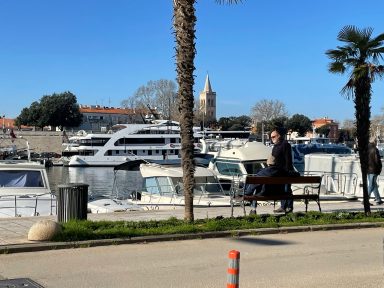 špica-hvidakovic-16