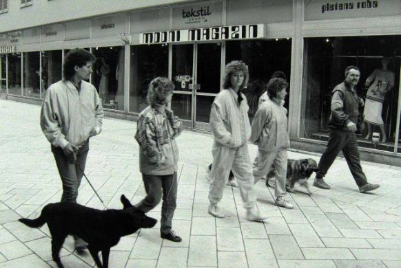 462137175_3800120243564071_758331422129889678_n