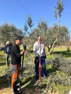 Devic i Druzijanic odrzali radionicu u Pirovcu