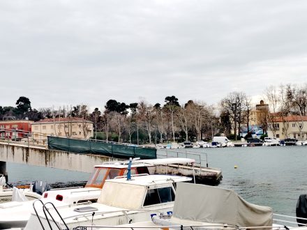 IMG_20250312_163505_resized_20250312_043715892