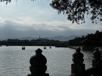 đani peričić student kina 5