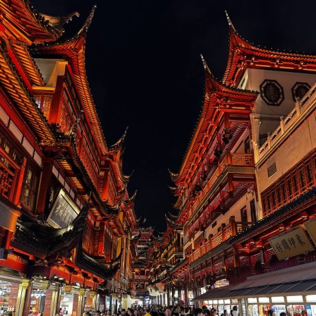 đani peričić student kina 7