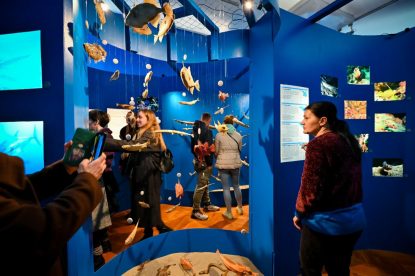 narodni muzej zadar izložba podmorje 2