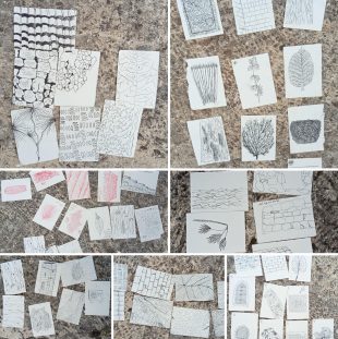 špud učenice terenski rad crtanje 2