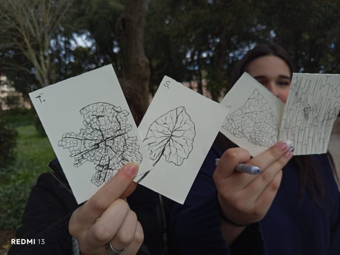 špud učenice terenski rad crtanje 7