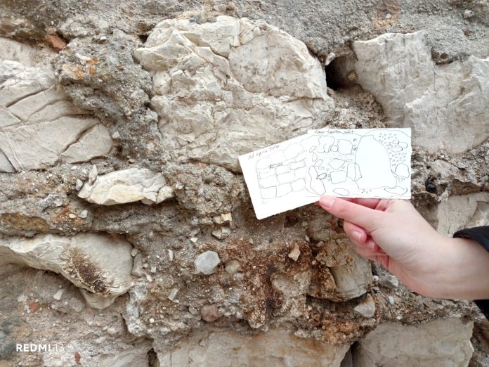 špud učenice terenski rad crtanje 8