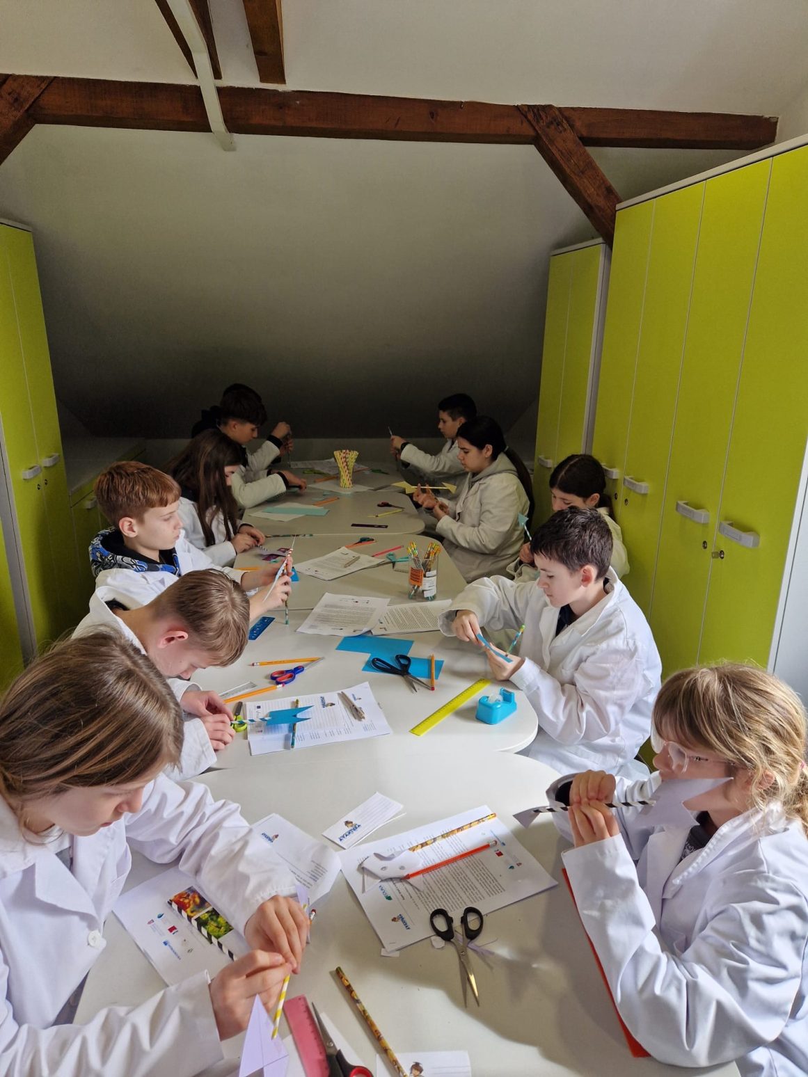 učenici edukacija matematika 5