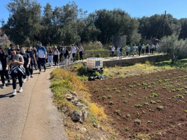 IMG-20250407-WA0043-733x550