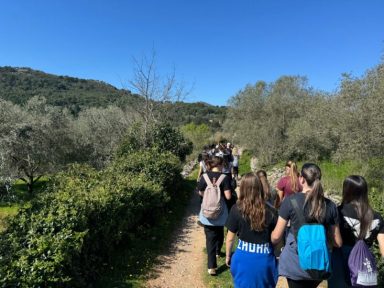 IMG-20250407-WA0045-733x550