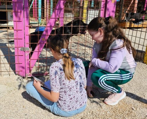 volonteri učenici oš šime budinić čitaju psima azil zadar 2