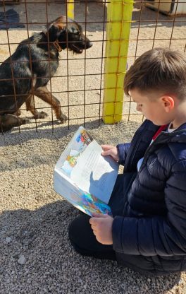 volonteri učenici oš šime budinić čitaju psima azil zadar 3